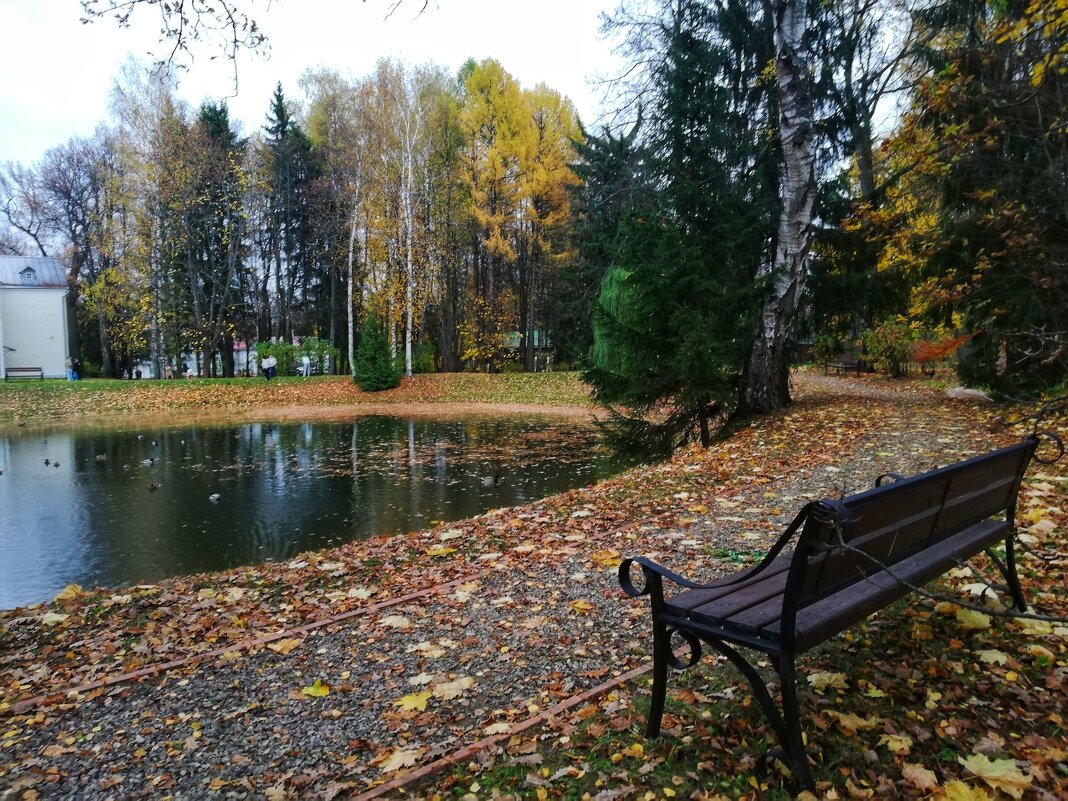 Философия осени - Елена Строганова