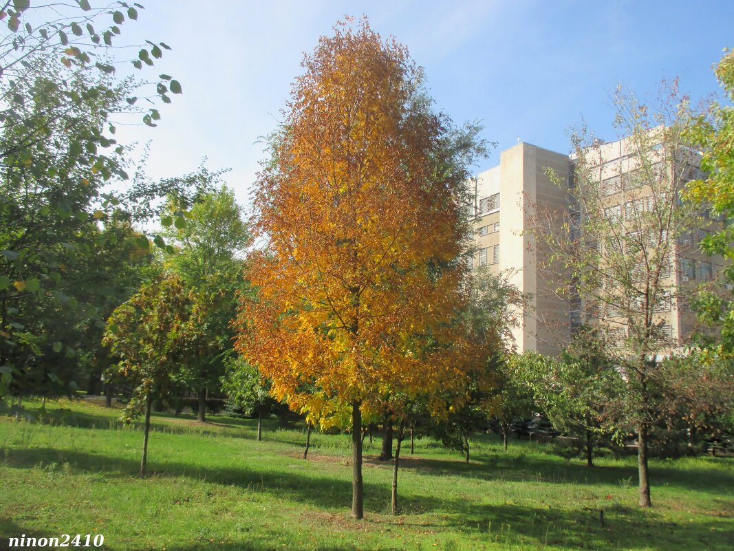 Ростовская осень - Нина Бутко