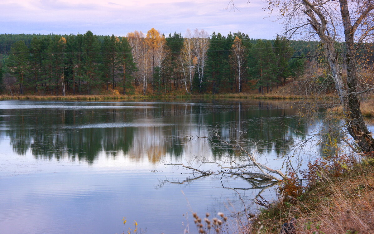 Река Таволга в октябре - Нэля Лысенко