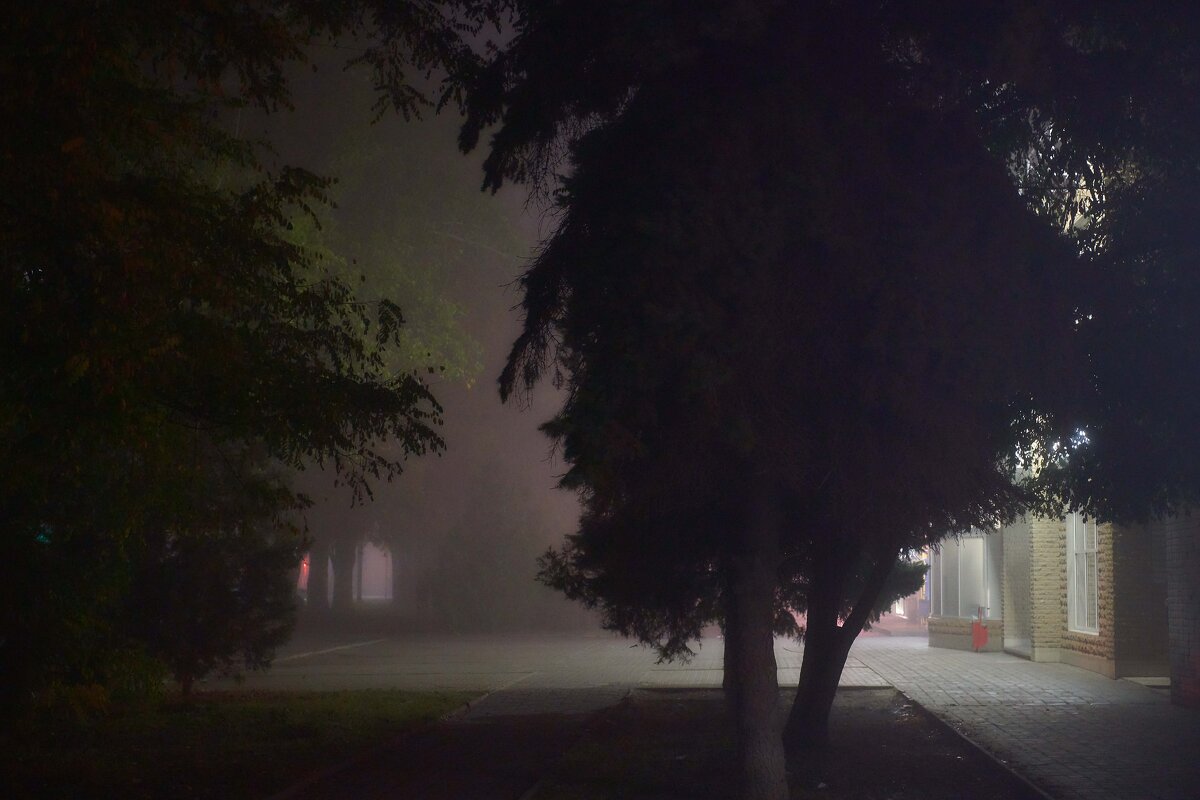 Ночной туман - Константин Бобинский
