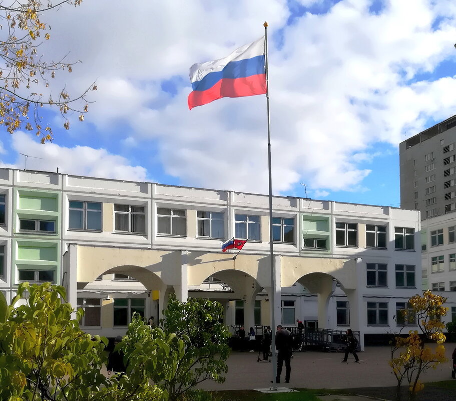 Городские зарисовки. - Ольга Довженко