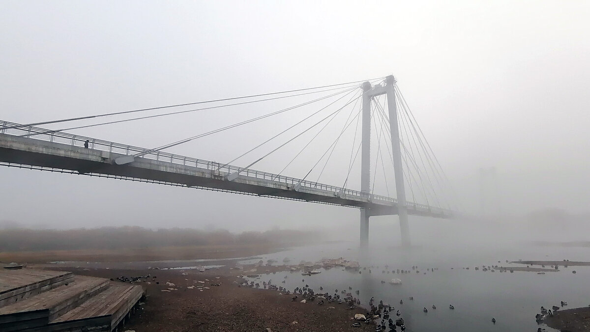 Сквозь туман  по вантовому мосту - Екатерина Торганская