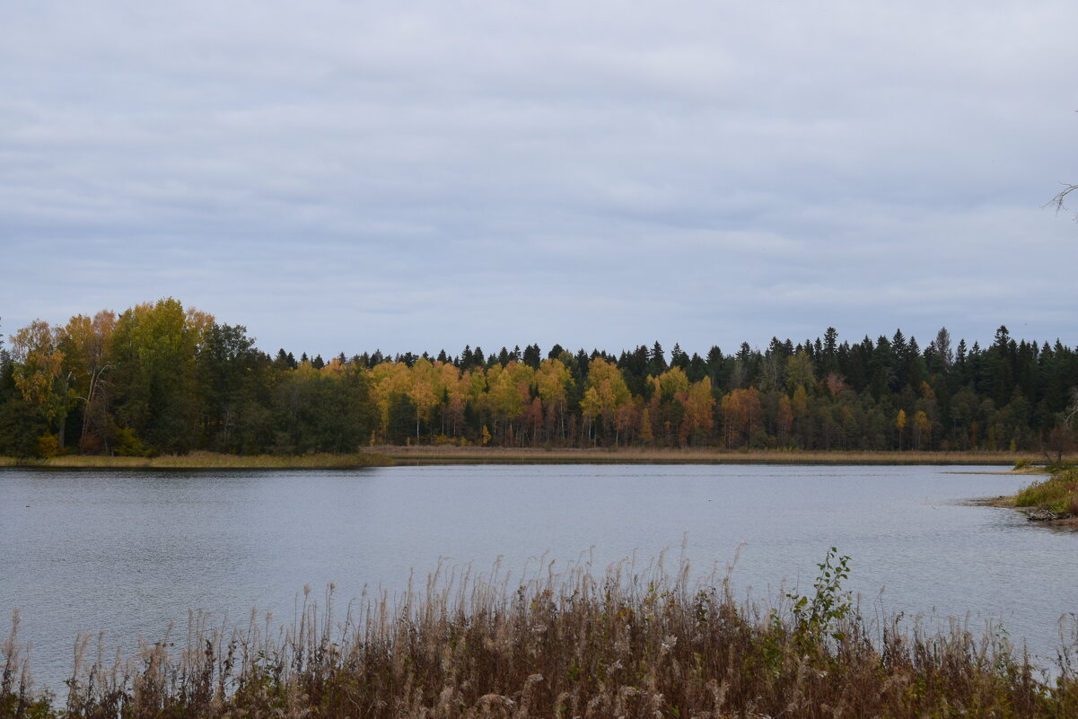 Валдайское озеро...  Осень... - Galina Leskova