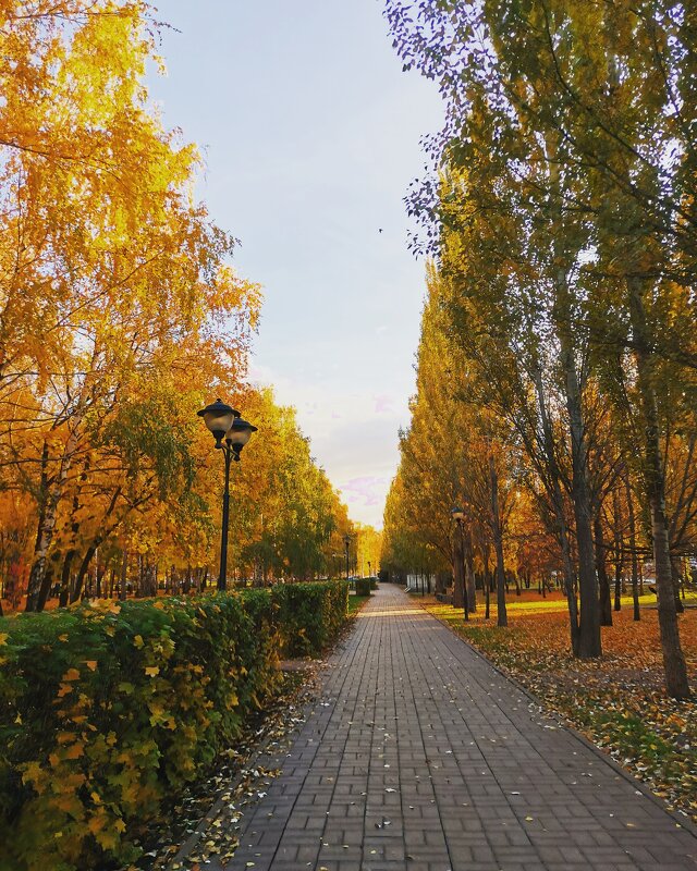 Осенний парк - Рузанна 