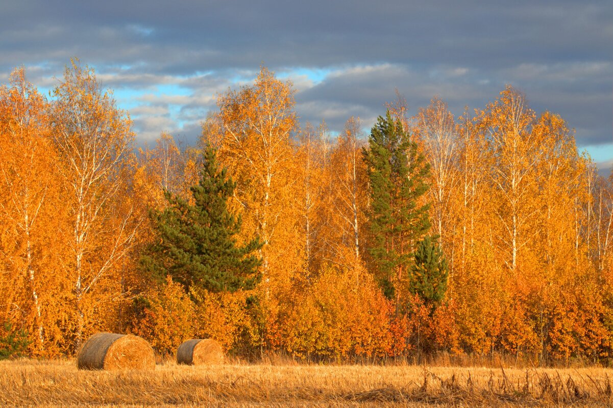 И вновь об осени - Любовь 