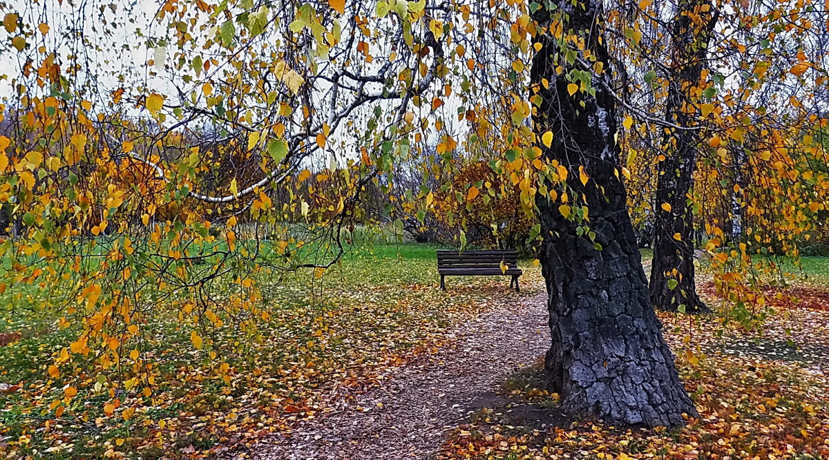 скамейка - Вера 