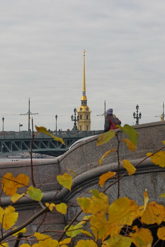 Вид на Петропавловскую крепость из Летнего сада. - rittchie 