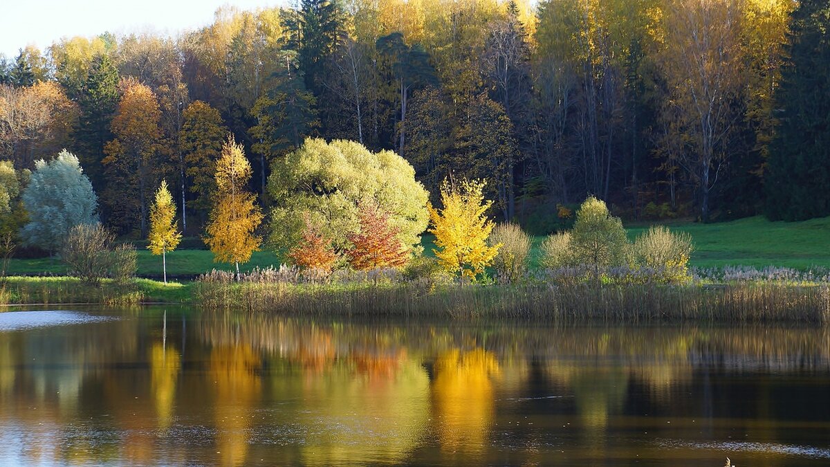 Осень в Павловске - Елена 