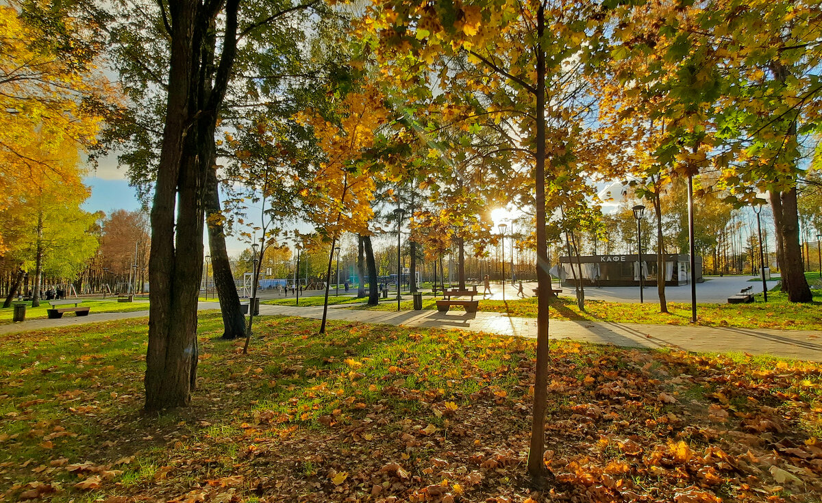 Осенний день - Елена Кирьянова