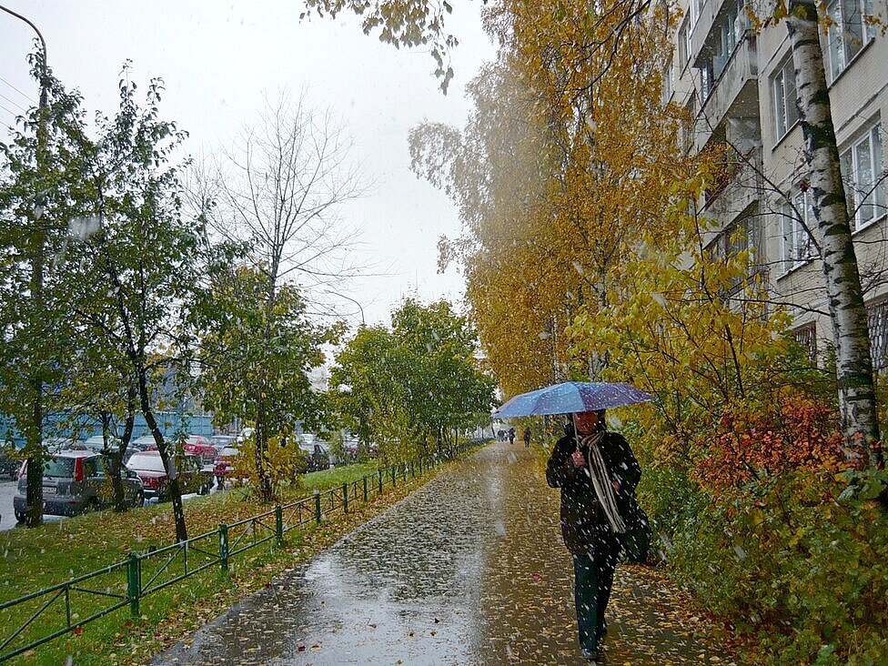 Осенняя погода - Вера Щукина