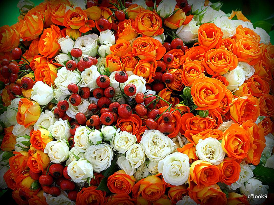 розы с ягодами - Олег Лукьянов