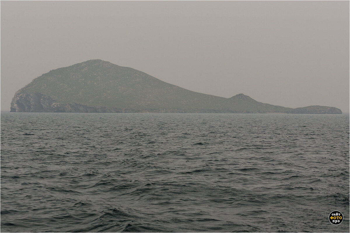 Остров-кит в дыму - Sait Profoto