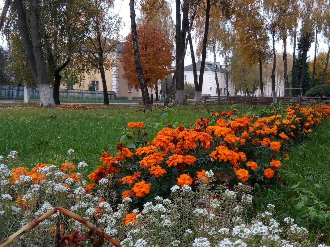 Осенние цветы (3) - Елена Пономарева