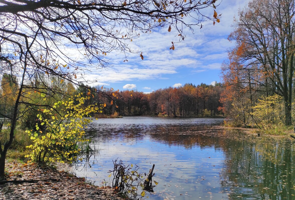 Осенний пейзаж - Ната Волга