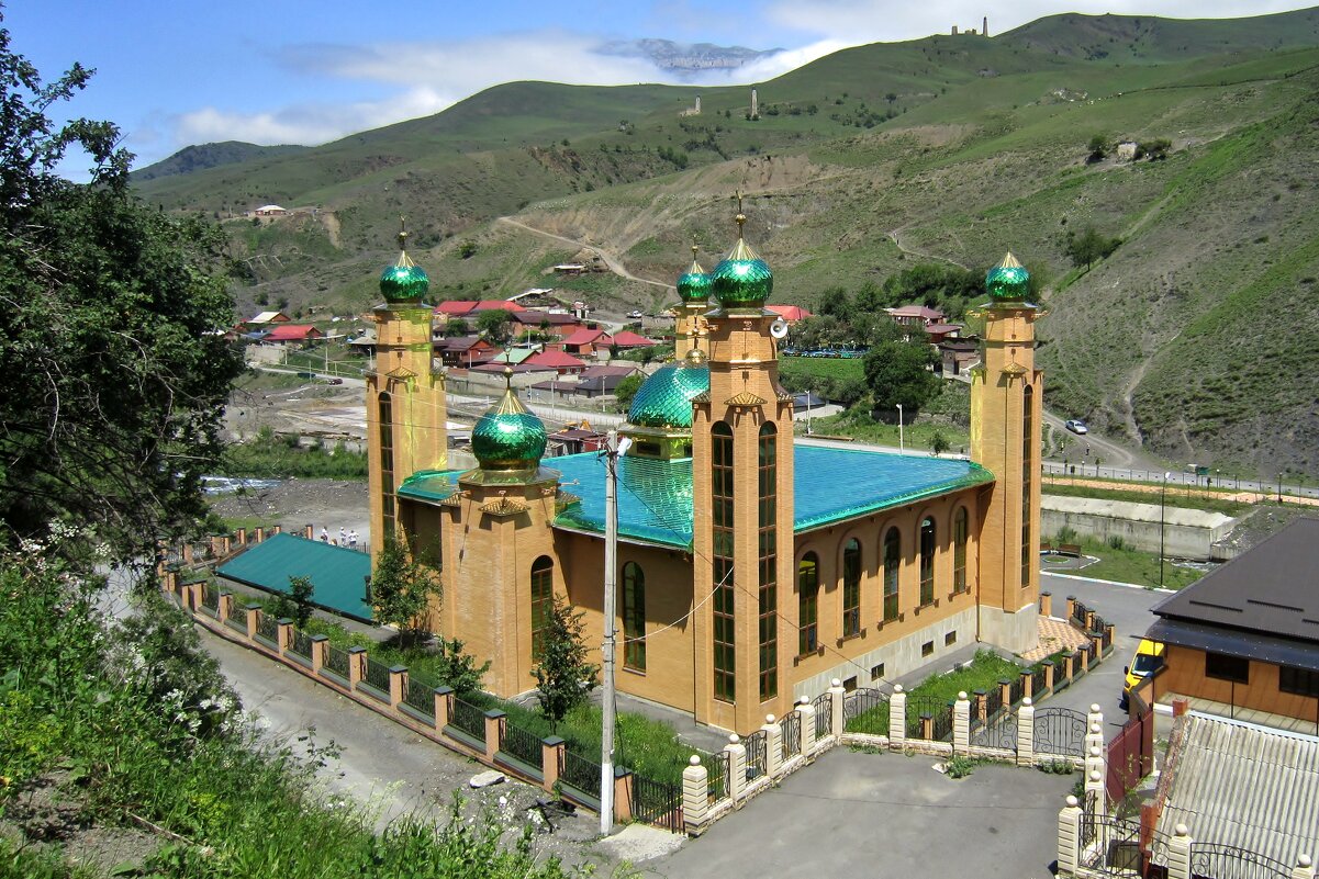Мечеть на краю села - Елена (ЛенаРа)