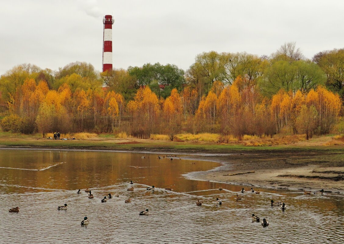 Осень на городском озере - Андрей Снегерёв