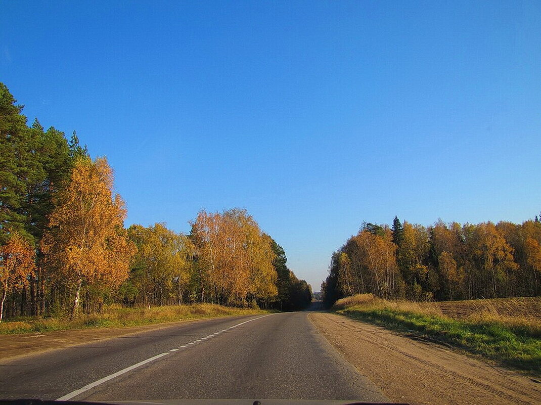 Едем в осенний лес - Людмила Смородинская