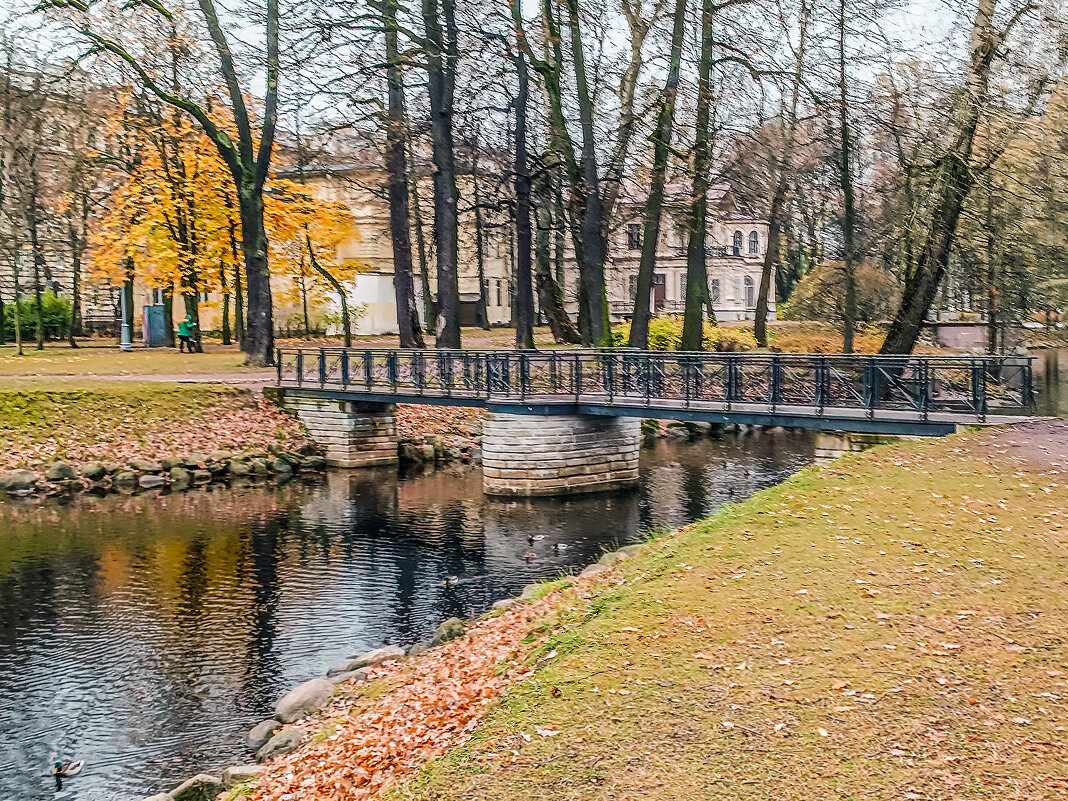 Осень в Лопухинском саду на Петроградской стороне - Стальбаум Юрий 