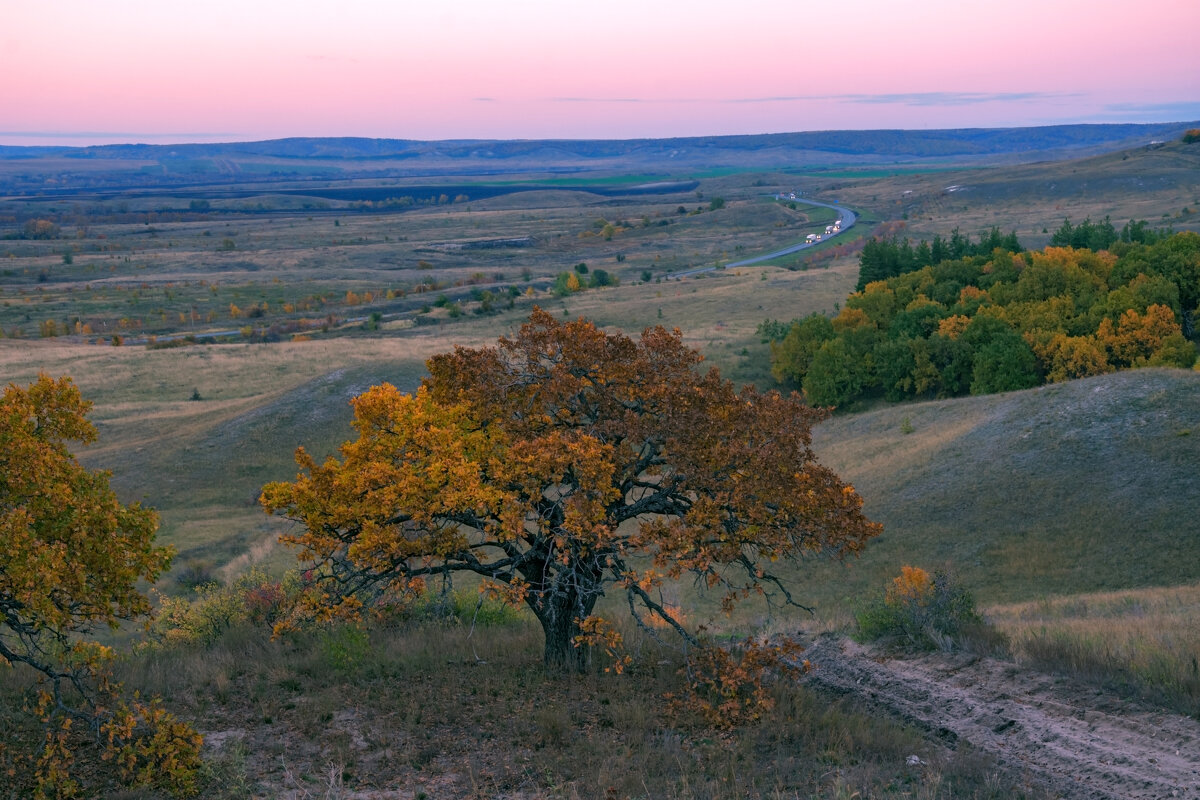 Осенний дуб - Наталья Димова