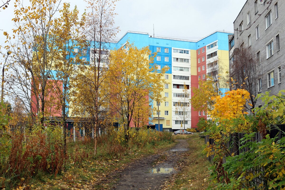 Осень в городе - Ольга 