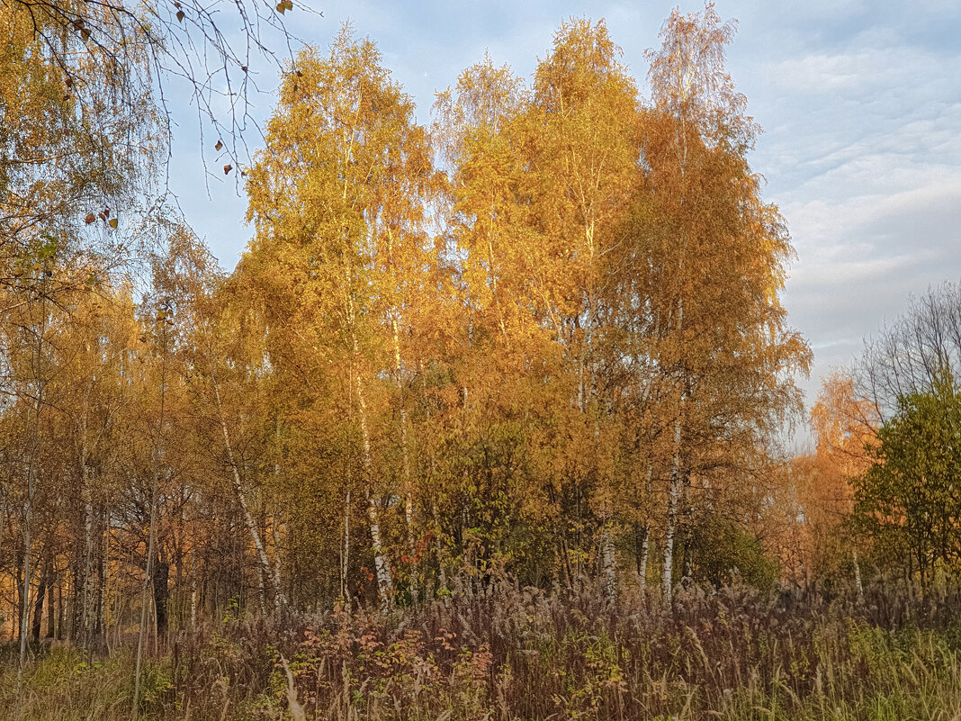 Осень - Александр Гурьянов