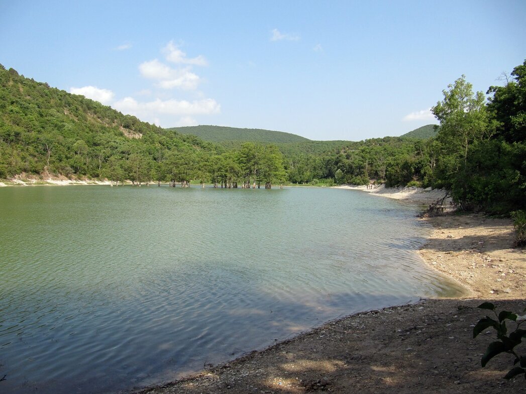 Оз. Сукко и водные кипарисы - Вера Щукина