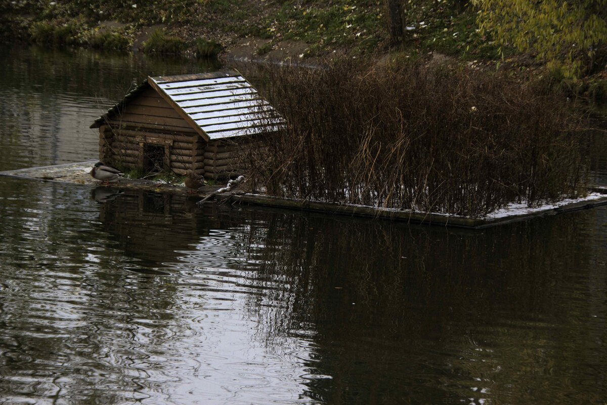 Дом на воде - Татьяна Шеффель