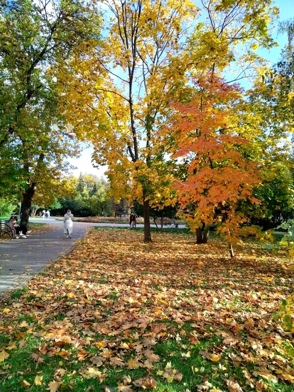 Осень в городе - Нина Колгатина 