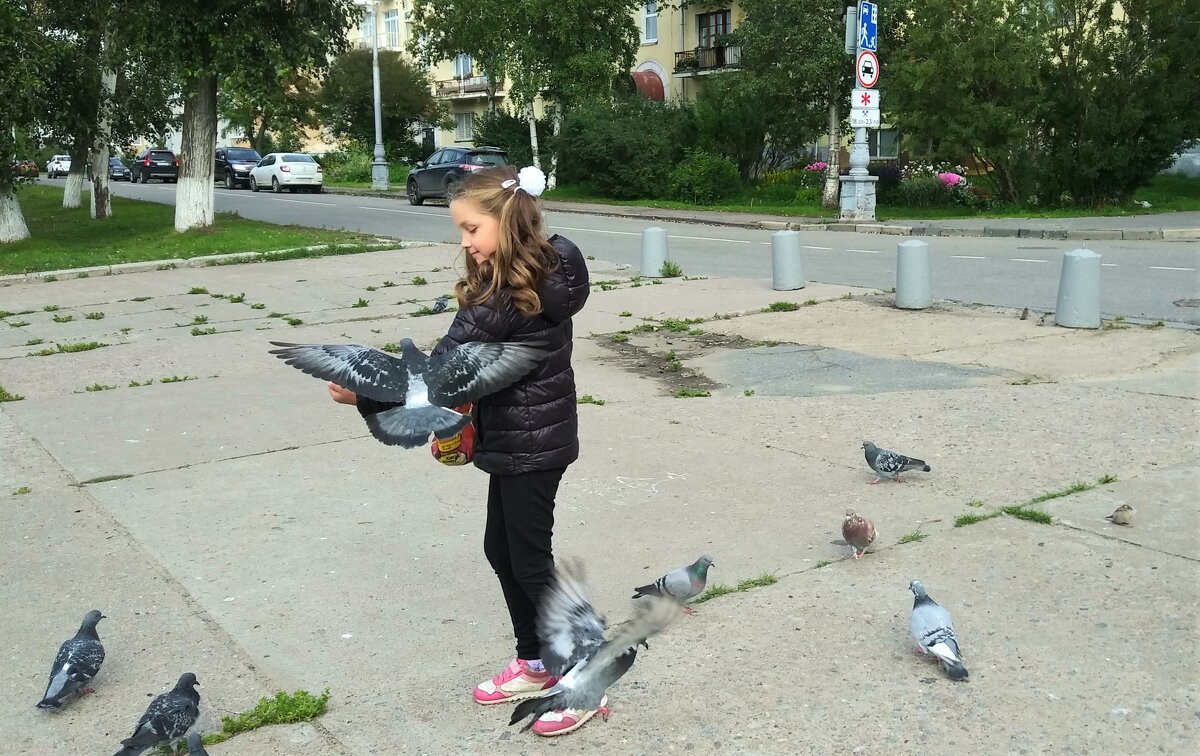 Девочка и голуби - Елена Байдакова