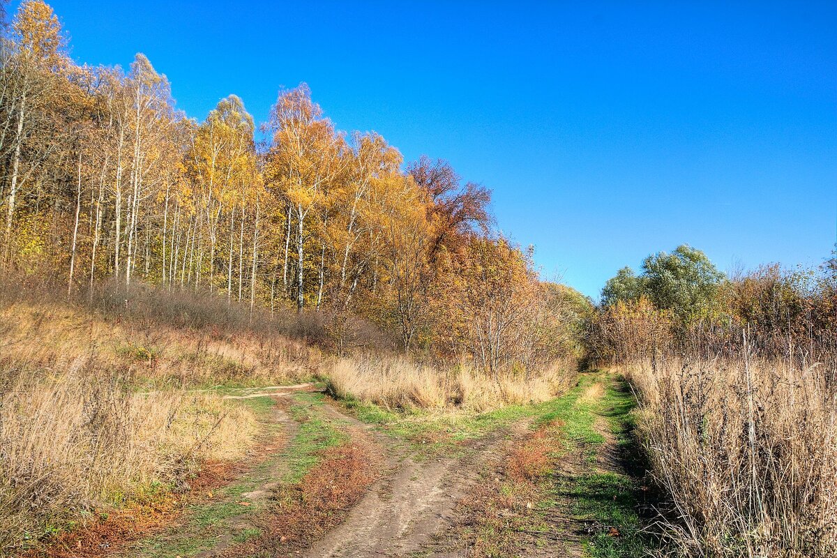 На развилке - Константин 