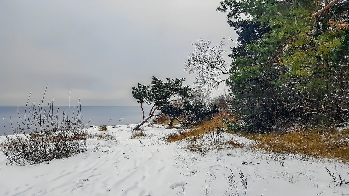 Saulkrasti 221122 m - Arturs Ancans