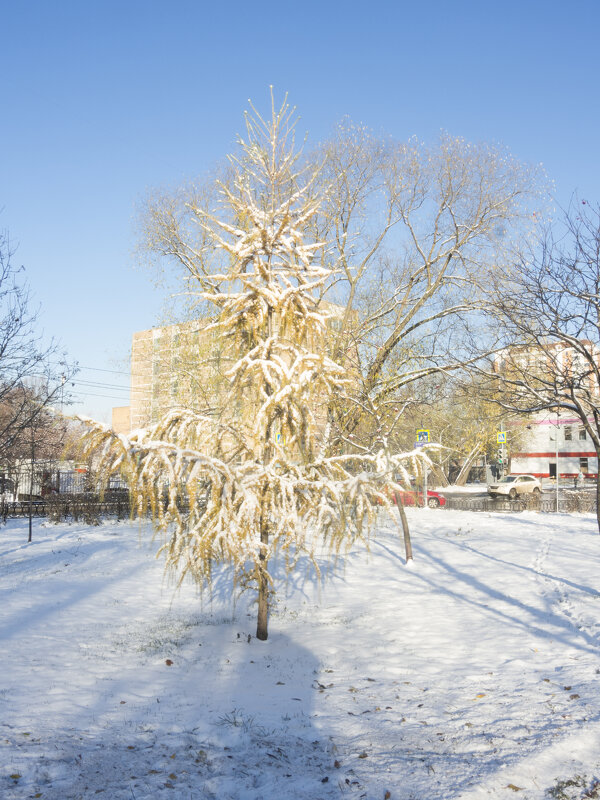 Зима - marmorozov Морозова