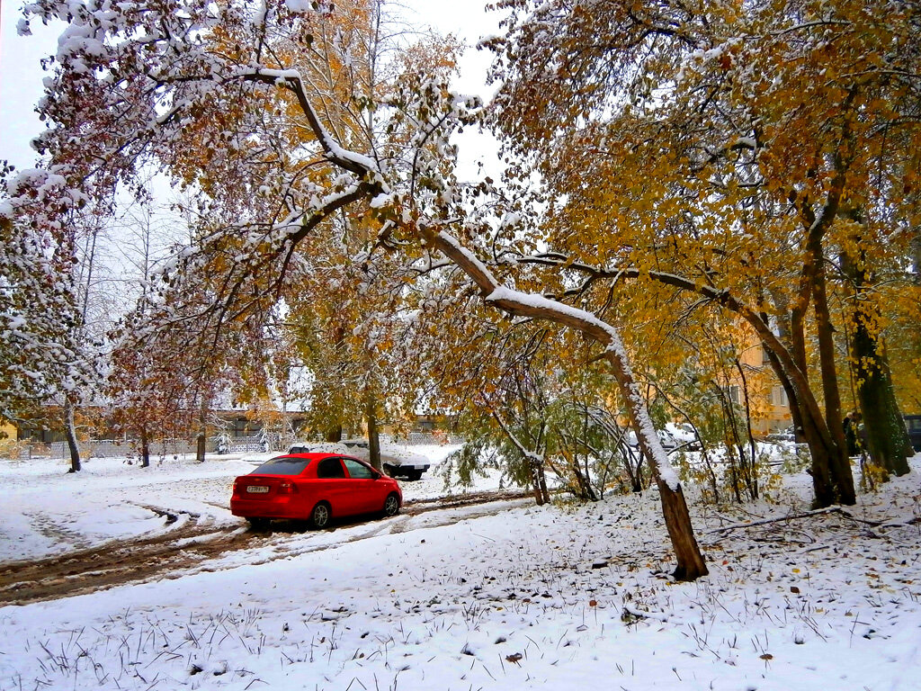 Первый снег - Алевтина 
