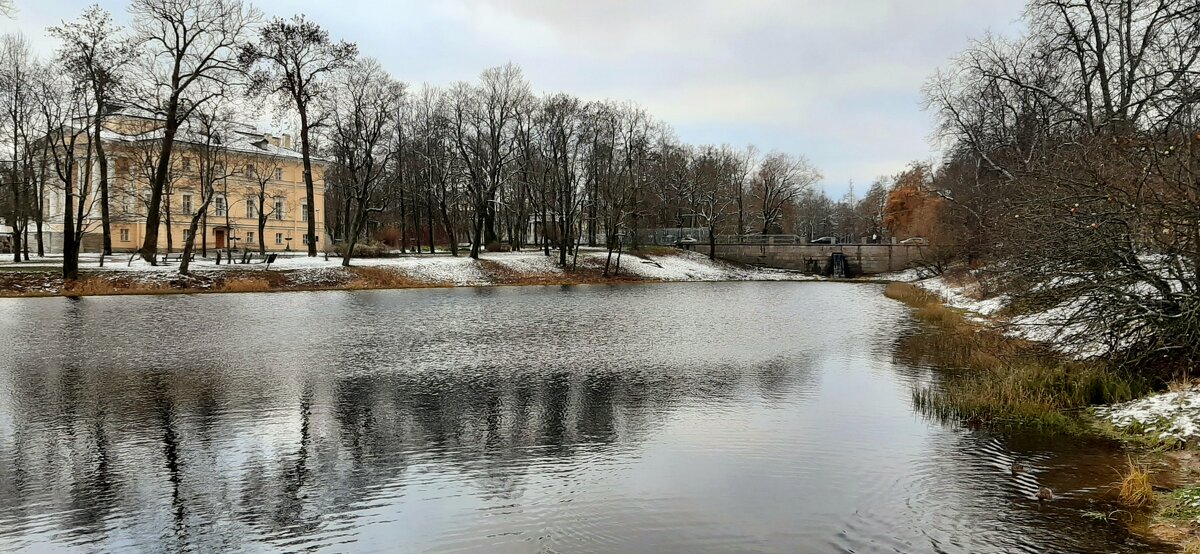 Царское Село. Ноябрь - Наталья Герасимова