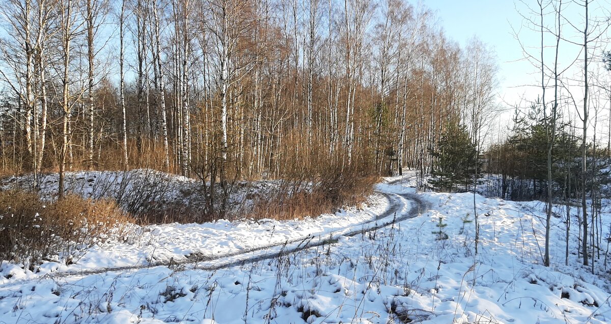 Где-то за городом... - Наталья Герасимова