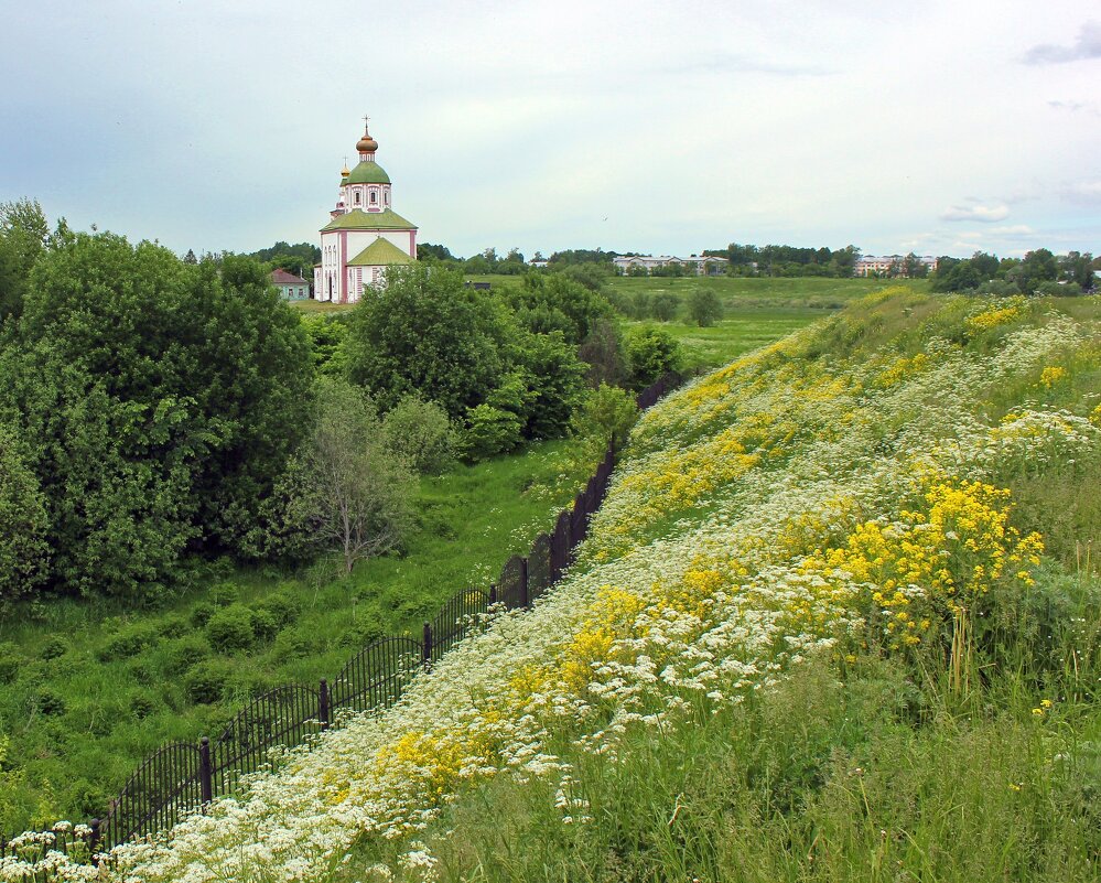 Церковь Илии Пророка - Владимир Соколов (svladmir)