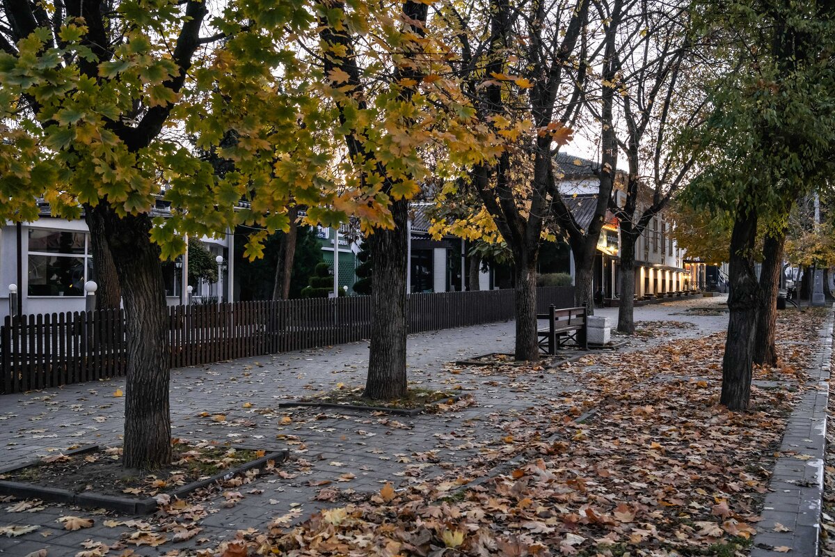 Утренние сумерки на центральной улице - Константин Бобинский