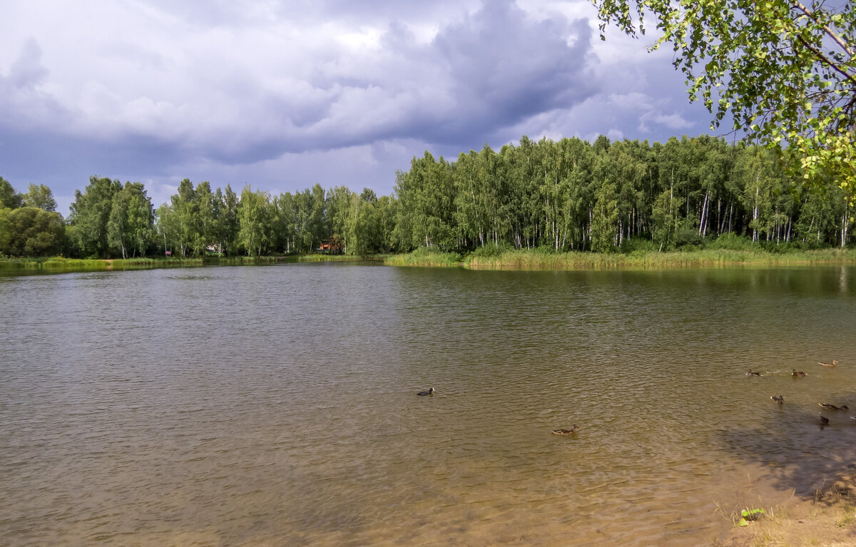 Озеро Ключевое (г. Смоленск). - Сергей Цветков
