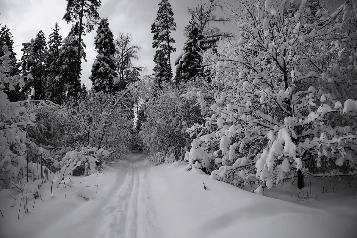 Winter road - AL 