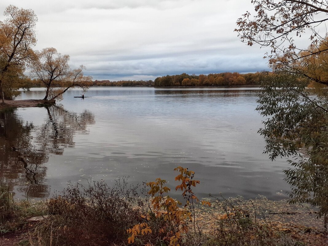 Осень в городе. - Лариса Исаева