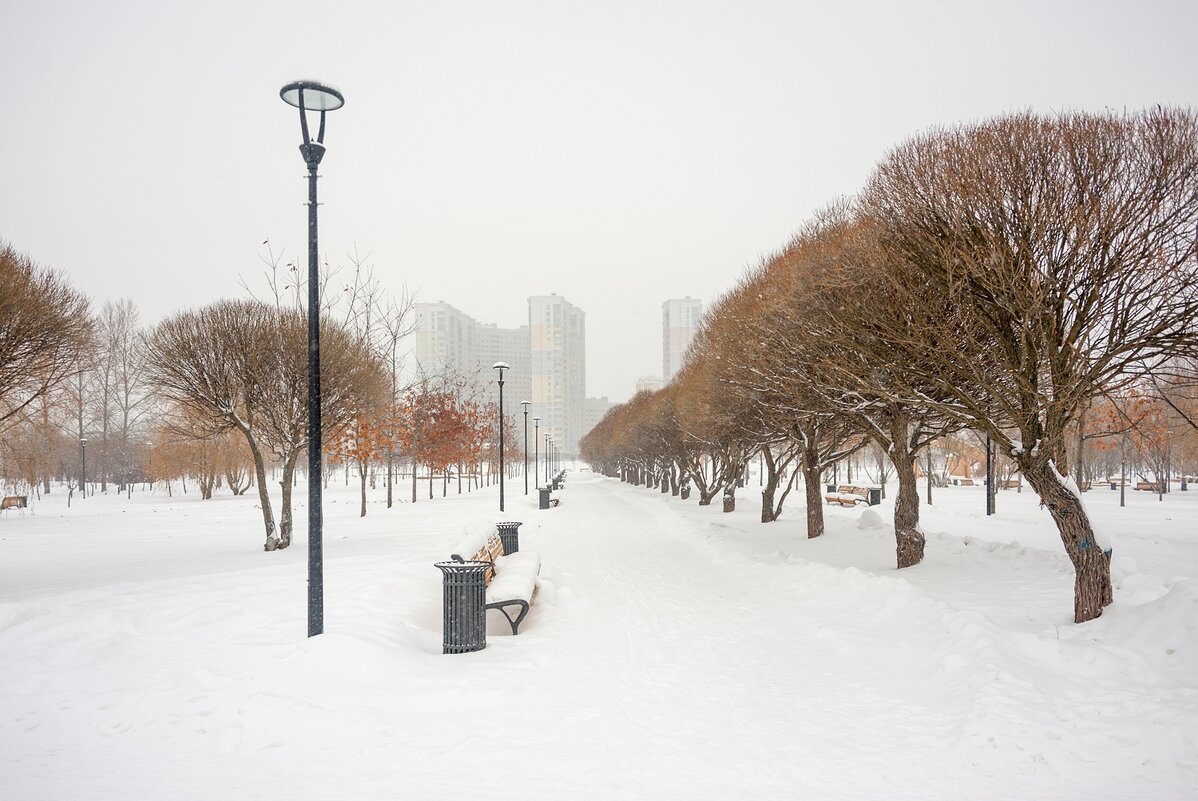 зимний парк москва