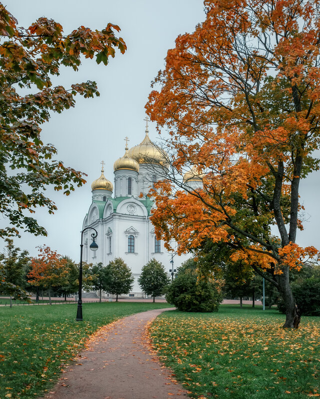 Царское Село - Владимир Колесников