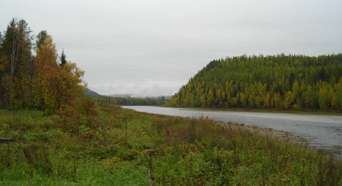 *** - Александр Хаецкий