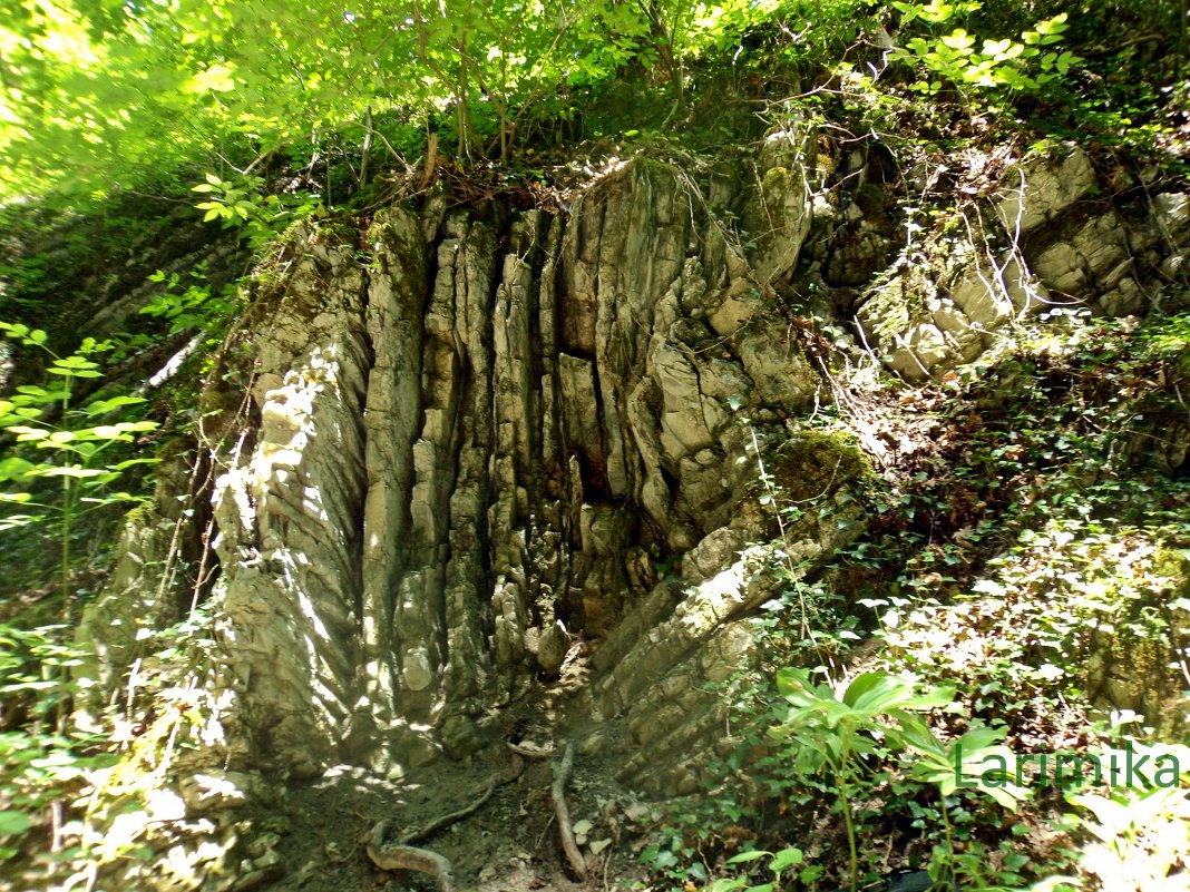 Скалы - Лариника Кузьменко