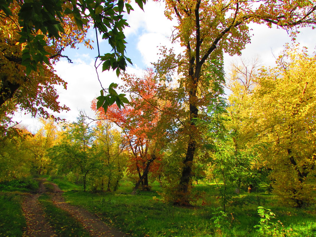 в парке - Marina Timoveewa