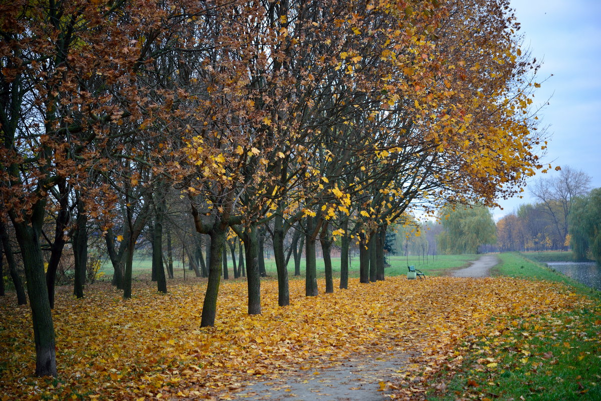 Осенний марафон - Павел Сущёнок