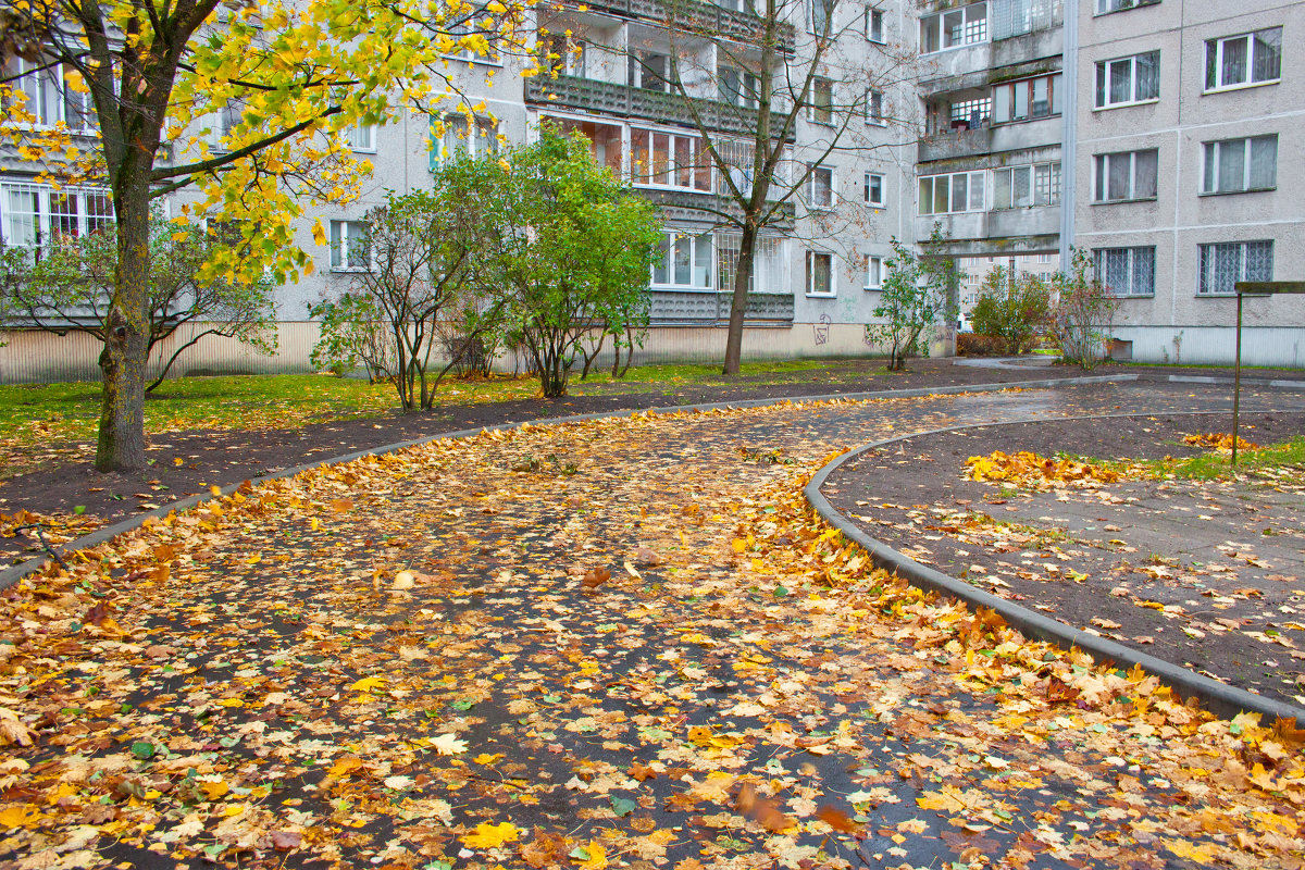 дорога домой - Диана Матисоне