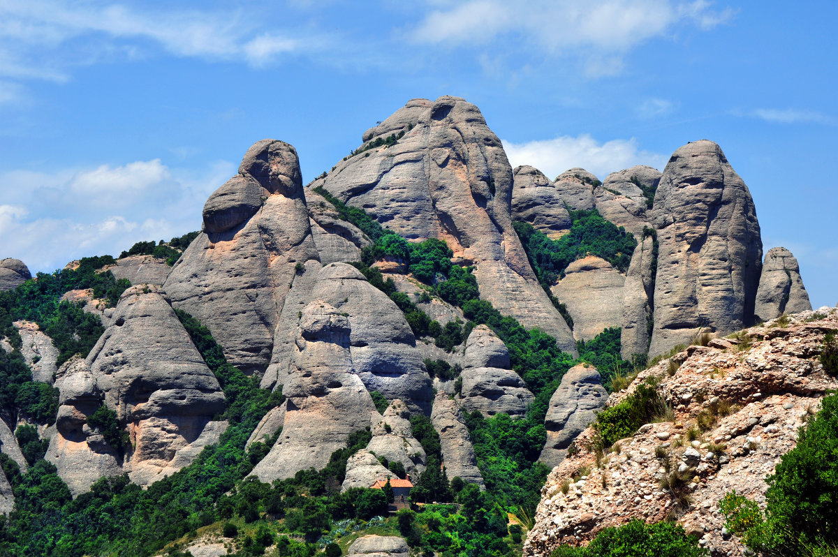 Montserrat-каменные животные - Андрей Конин