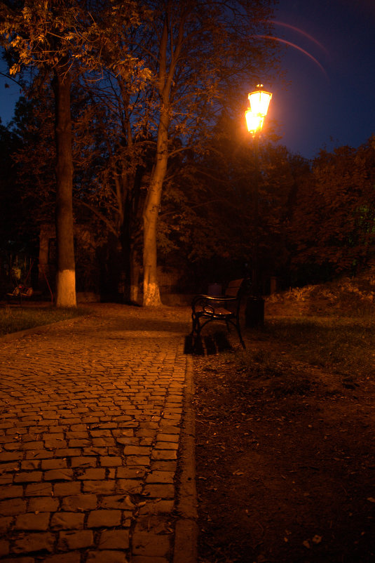 Вечер в парке - Александр Золотухин