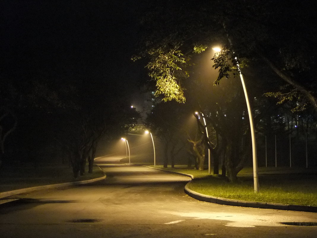 ночь...улица...фонарь - Алинка Боровских